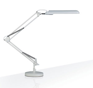 Budget Desk Lamp